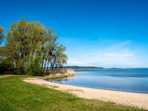Le lac Kummerow dans la région des lacs du Mecklembourg, en Allemagne.