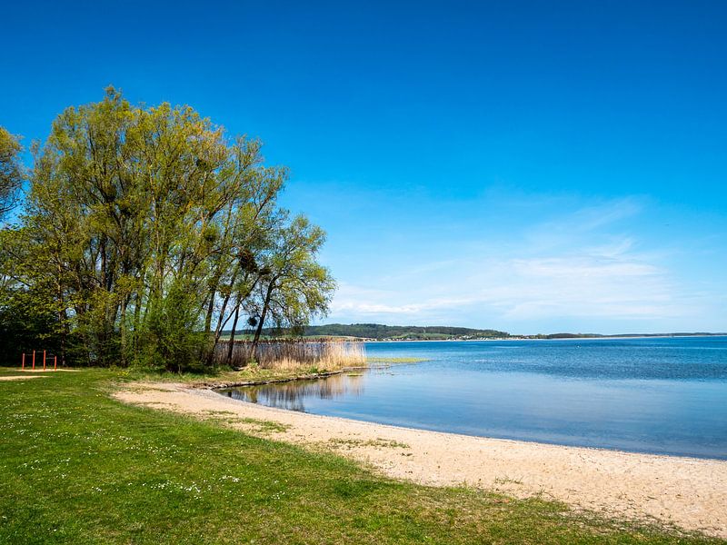 Kummerower See an der Mecklenburgische Seenplatte in Deutschland von Animaflora PicsStock