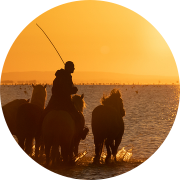 Camargue paarden met hun ruiters van Kris Hermans