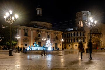 Plaza de la Virgen met Turia Fontein en Basilica Kathedraal in Valencia Spanje van Dieter Walther