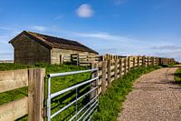 Barn with pad