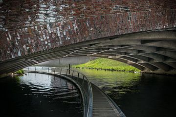 Dommel of Dieze in een tunnel in Den Bosch van Patrick Verhoef