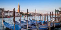 VENICE Grand Canal and Goldolas | panoramic view by Melanie Viola thumbnail