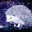 Igel