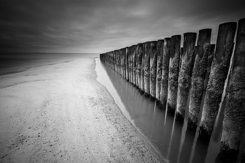 Breakwaters on the Dutch beach