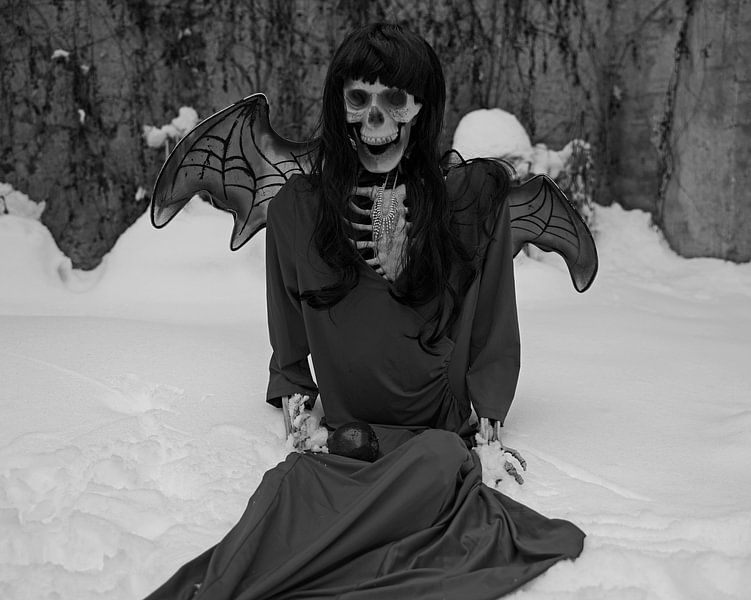 Teufelsbraut Skelett mit rotem Kleid und Teufel Flügel im Schnee von Babetts Bildergalerie