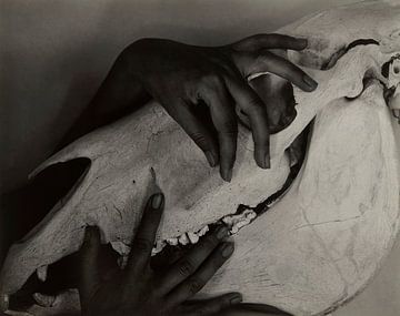 Georgia O'Keeffe - Handen en Paardenschedel (1931) door Alfred Stieglitz. van Peter Balan
