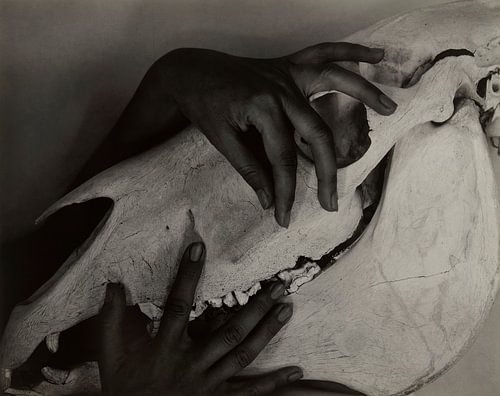 Georgia O’Keeffe – Hands and Horse Skull (1931) by Alfred Stieglitz.