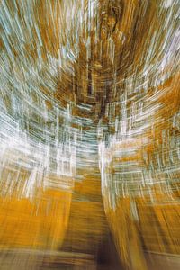 Arbre en mouvement (ICM)