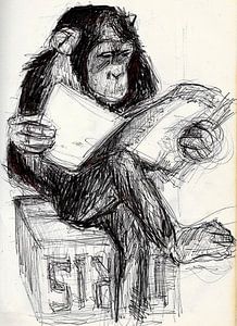 AFFE + ZEITUNG