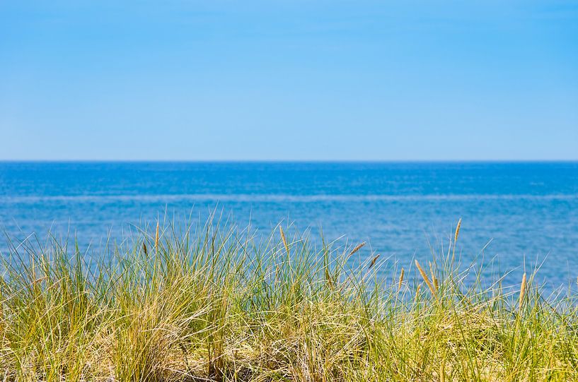 Das Meer par Ullrich Gnoth