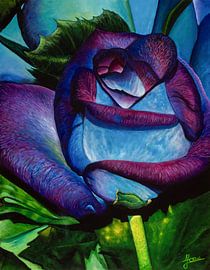 Blauw-paarse roos van Carolien Bol