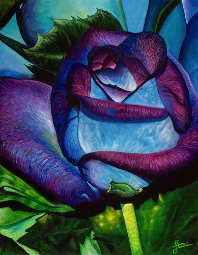Rose bleu-violet sur Carolien Bol