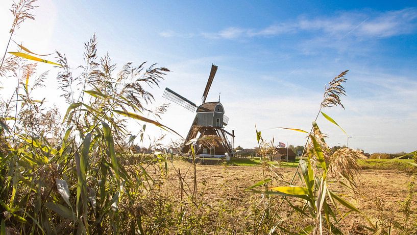 Windmühle bei Meerkerk von AciPhotography