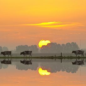 Dutchlandscape van Hans de Rooij