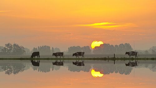 Dutchlandscape by Hans de Rooij