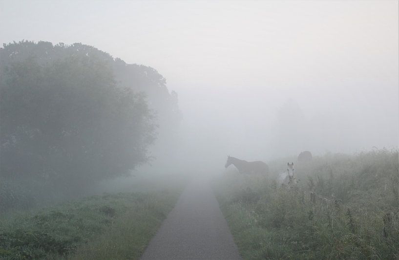 Paarden in de mist van Esther Leijten-Kupers