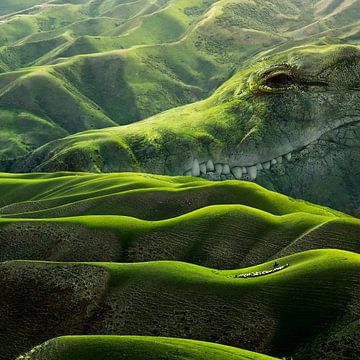 Digital Art groen landschap met krokodil van Martijn Schrijver