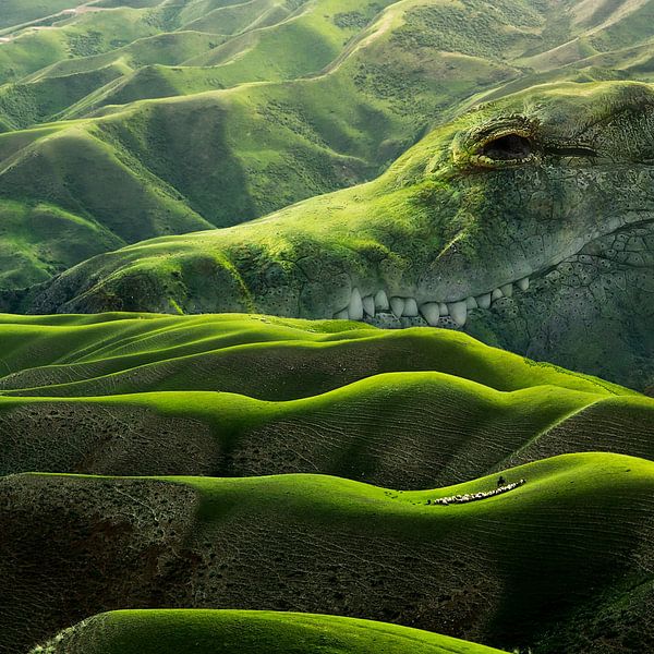 Digital Art green landscape with Crocodile by Martijn Schrijver