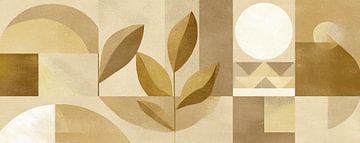 Organic Forms and Warmth