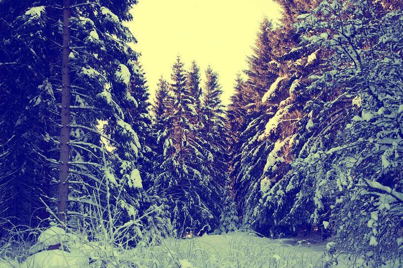 Winter landscape by Bo Valentino