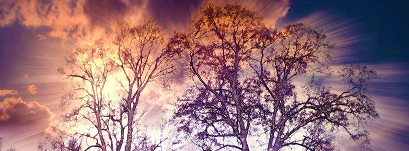Wintry mood van Photoart-Naegele