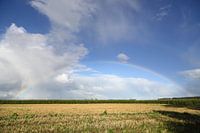 Land onder de regenboog