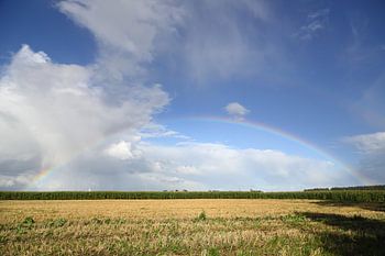 Land unterm Regenbogen