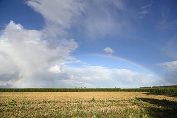 Land unterm Regenbogen von Rolf Pötsch