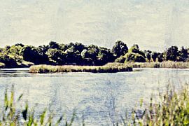 Réserve naturelle de Pluimpot à Sint-Maartensdijk (Tholen) (œuvre d'art) sur Art by Jeronimo