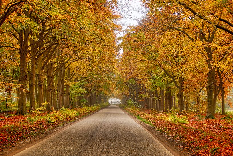 Herfst par Karel Warburg