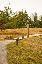 Sentier en bois à travers les dunes de la mer Baltique