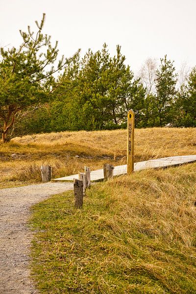 Sentier en bois à travers les dunes de la mer Baltique par Martin Köbsch