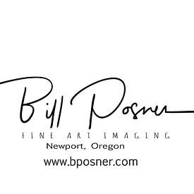 Bill Posner photo de profil