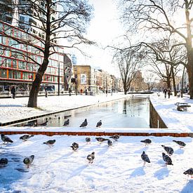 WESTERSINGEL by SVPhotography