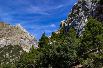 Berglandschap op het eiland Mallorca van Reiner Conrad