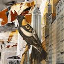About Birds in Cities van Marja van den Hurk thumbnail