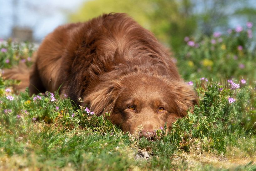 Enjoy by Kim Mannaerts