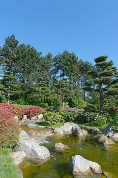 Jardin japonais dans le Nordpark de Düsseldorf sur Peter Eckert