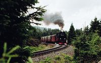 Eisenbahn mit Wagons im Harz