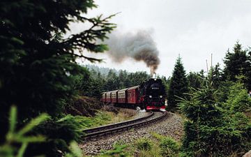 Spoorweg met wagons in de Harz van Olli Lehne
