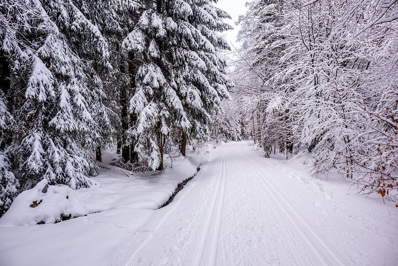 Tour de ski de fond par un temps impérial dans la forêt enneigée de Thuringe près de Floh-Seligenthal - Thuringe - Allemagne par Oliver Hlavaty