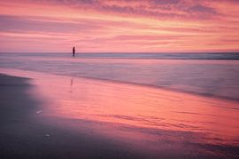 Alone in Schiermonnikoog's red sea by Martijn van Dellen