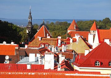 Oude Stad, Daken, Tallinn, Estland, Europa