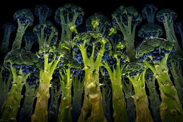 Blueberry Broccoli van Olaf Bruhn