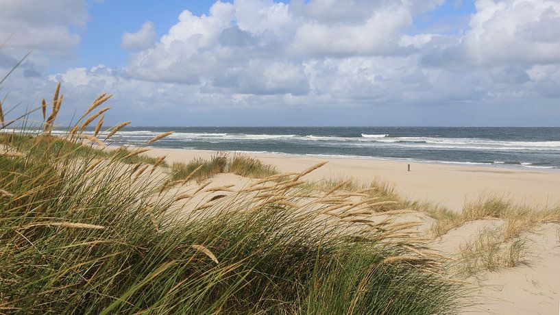 Vlieland dunes by Hilde Heikoop