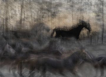 paard, milan malovrh