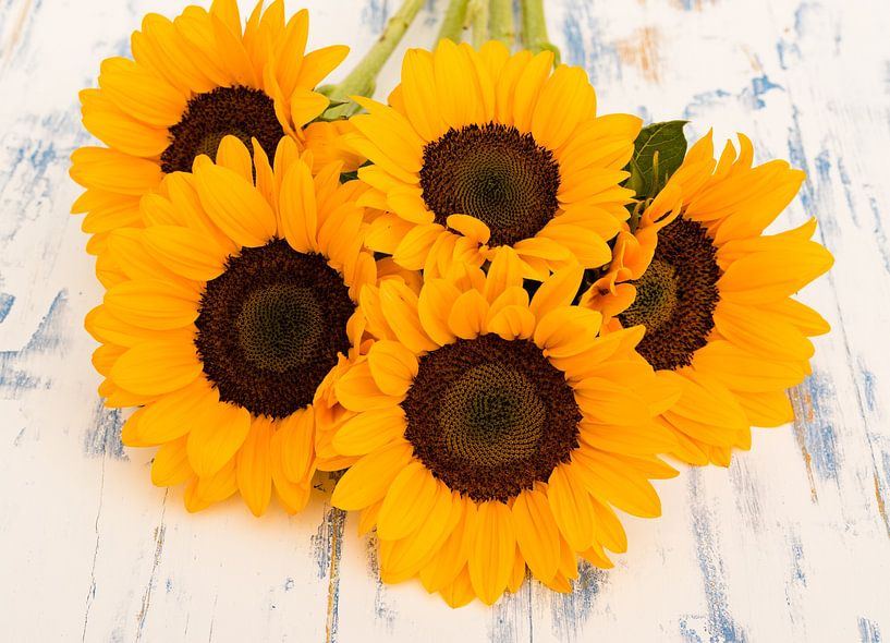 Yellow sunflowers arrangement on wooden background by Alex Winter