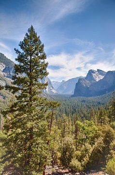 Yosemite Nationalpark, USA van Jan Schuler