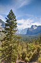Yosemite Nationalpark, USA von Jan Schuler Miniaturansicht